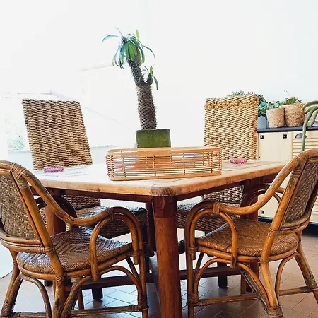 Mama Babylon Gasthuis Olbia