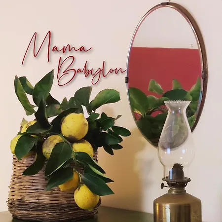 Гостевой дом Mama Babylon Ольбия